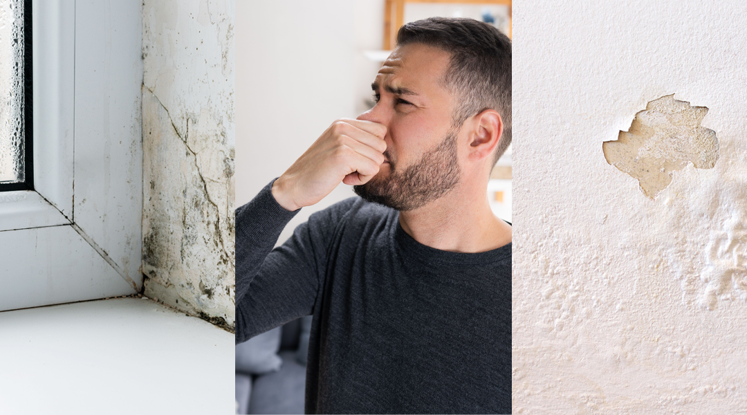 Ces signes qui montrent que votre système de ventilation VMC perd en efficacité