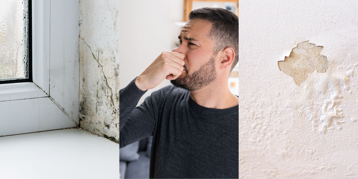Odeurs, moisissures, condensation... Être attentif aux signes qui montrent que la VMC est moins performante
